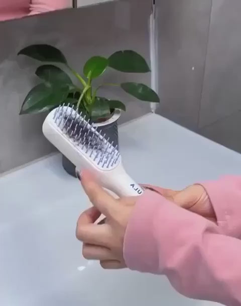 Self Cleaning Hair Brush